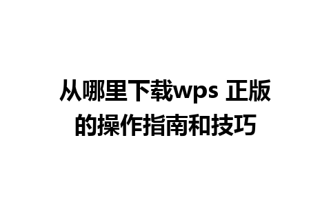 从哪里下载wps 正版的操作指南和技巧