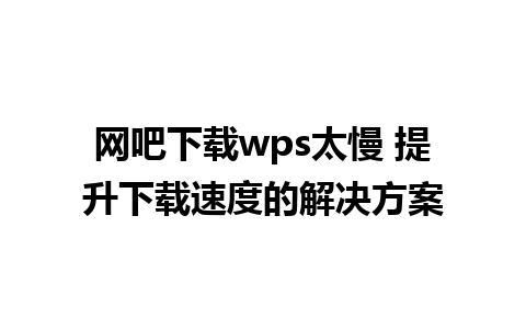 网吧下载wps太慢 提升下载速度的解决方案