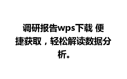 调研报告wps下载 便捷获取，轻松解读数据分析。