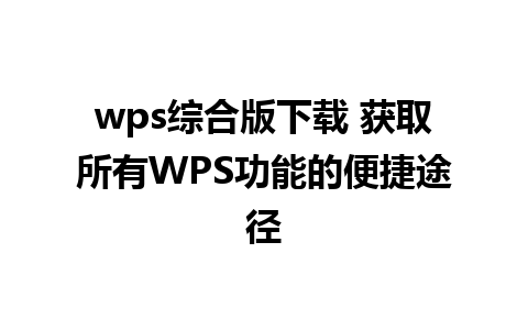 wps综合版下载 获取所有WPS功能的便捷途径