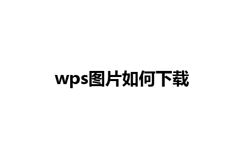 wps图片如何下载 