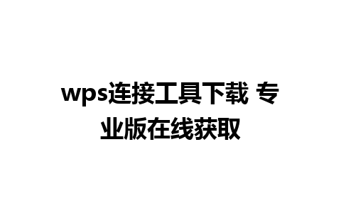 wps连接工具下载 专业版在线获取