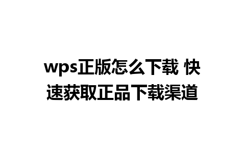 wps正版怎么下载 快速获取正品下载渠道