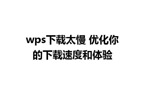 wps下载太慢 优化你的下载速度和体验