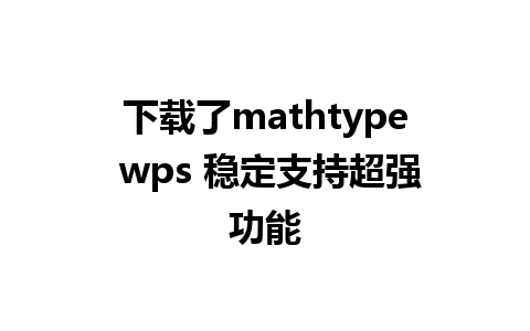 下载了mathtype wps 稳定支持超强功能