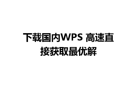 下载国内WPS 高速直接获取最优解