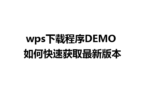 wps下载程序DEMO 如何快速获取最新版本