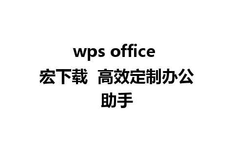 wps office 宏下载  高效定制办公助手