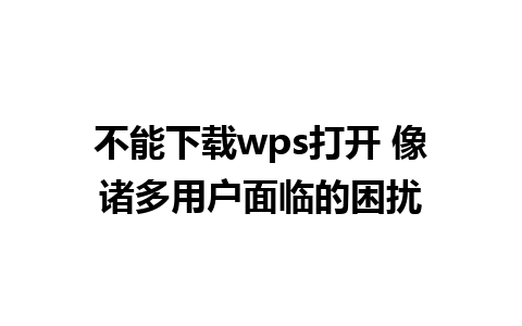 不能下载wps打开 像诸多用户面临的困扰