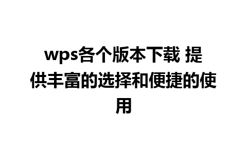 wps各个版本下载 提供丰富的选择和便捷的使用