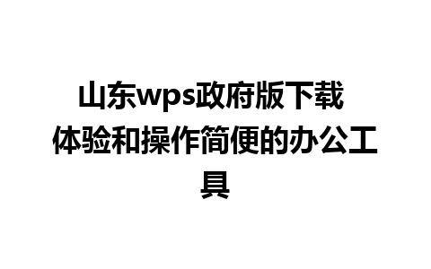 山东wps政府版下载 体验和操作简便的办公工具 