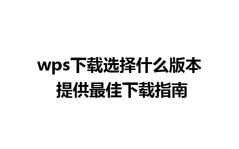 wps下载选择什么版本 提供最佳下载指南