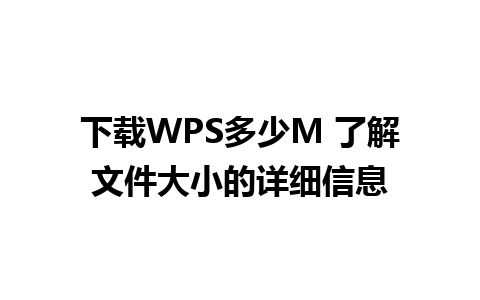 下载WPS多少M 了解文件大小的详细信息