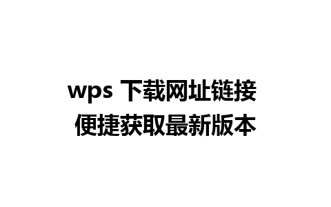 wps 下载网址链接 便捷获取最新版本