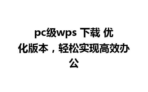 pc级wps 下载 优化版本，轻松实现高效办公