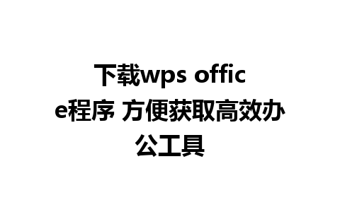 下载wps office程序 方便获取高效办公工具