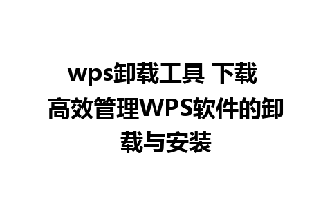 wps卸载工具 下载 高效管理WPS软件的卸载与安装