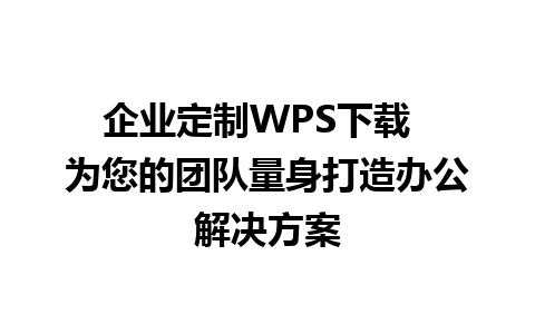 企业定制WPS下载  为您的团队量身打造办公解决方案