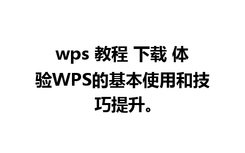 wps 教程 下载 体验WPS的基本使用和技巧提升。