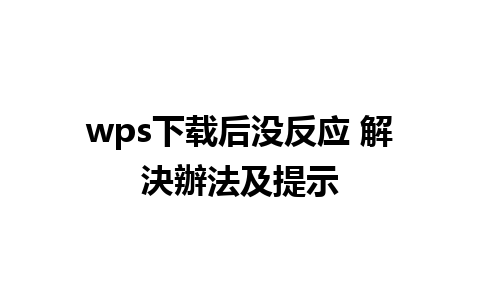 wps下载后没反应 解決辦法及提示