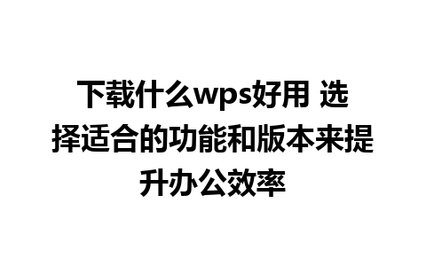 下载什么wps好用 选择适合的功能和版本来提升办公效率