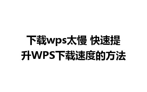 下载wps太慢 快速提升WPS下载速度的方法