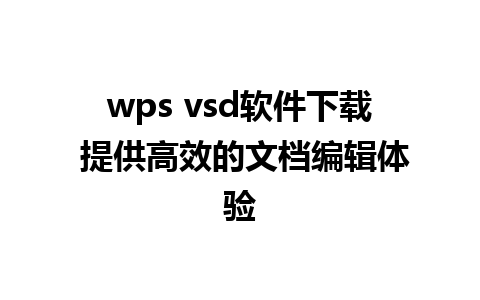 wps vsd软件下载 提供高效的文档编辑体验