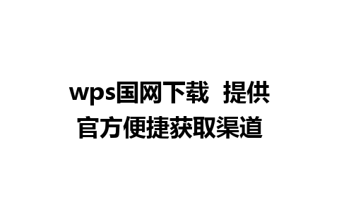 wps国网下载  提供官方便捷获取渠道