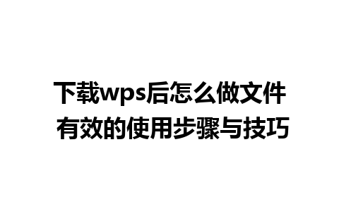 下载wps后怎么做文件 有效的使用步骤与技巧