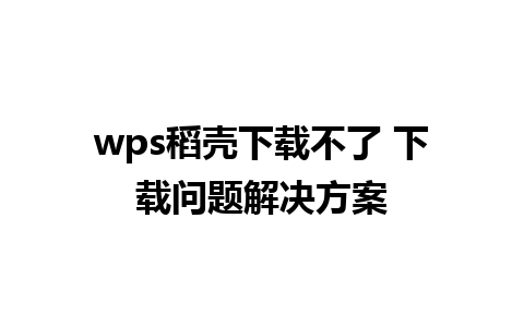 wps稻壳下载不了 下载问题解决方案