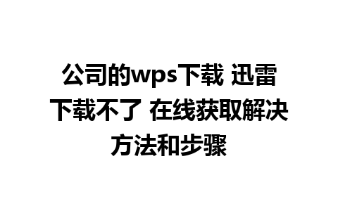 公司的wps下载 迅雷下载不了 在线获取解决方法和步骤