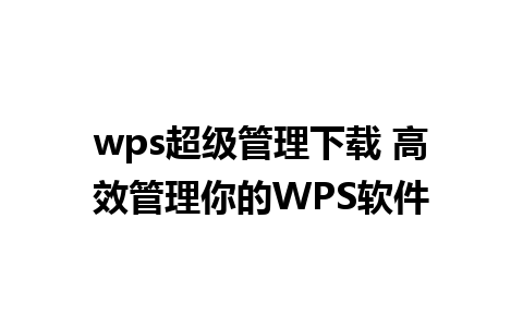 wps超级管理下载 高效管理你的WPS软件