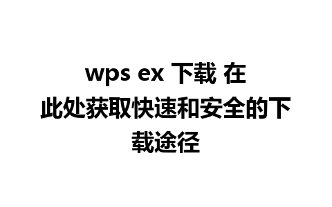 wps ex 下载 在此处获取快速和安全的下载途径