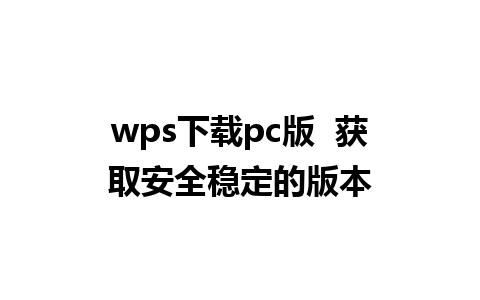 wps下载pc版  获取安全稳定的版本