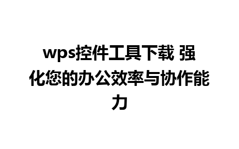 wps控件工具下载 强化您的办公效率与协作能力