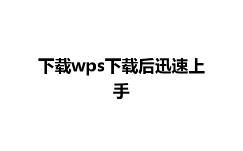 下载wps下载后迅速上手