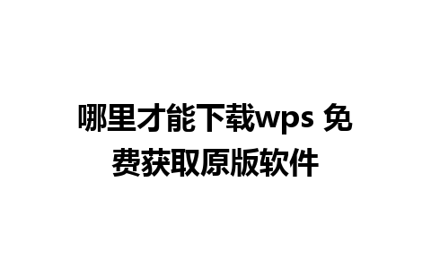 哪里才能下载wps 免费获取原版软件