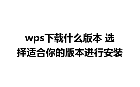 wps下载什么版本 选择适合你的版本进行安装