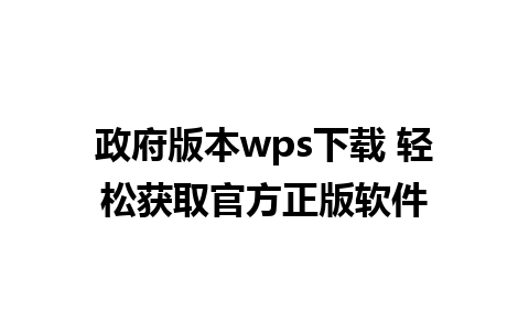 政府版本wps下载 轻松获取官方正版软件