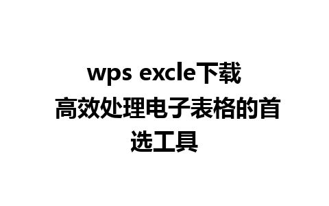 wps excle下载 高效处理电子表格的首选工具