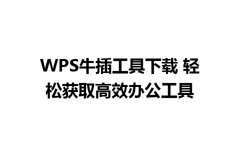 WPS牛插工具下载 轻松获取高效办公工具