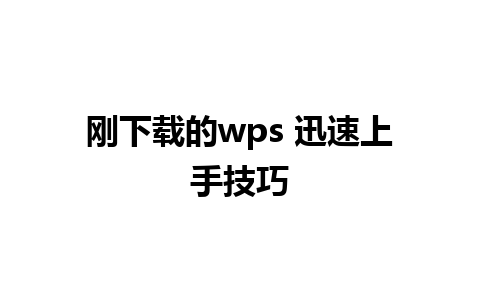 刚下载的wps 迅速上手技巧