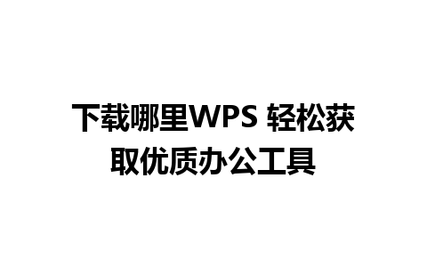 下载哪里WPS 轻松获取优质办公工具