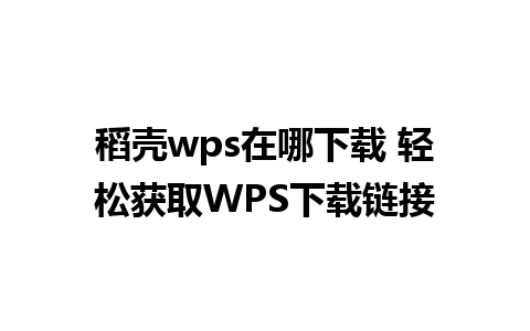 稻壳wps在哪下载 轻松获取WPS下载链接