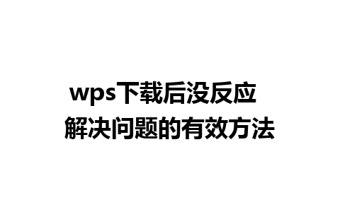 wps下载后没反应  解决问题的有效方法