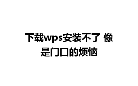 下载wps安装不了 像是门口的烦恼