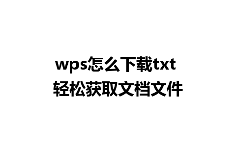 wps怎么下载txt 轻松获取文档文件