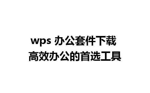 wps 办公套件下载 高效办公的首选工具