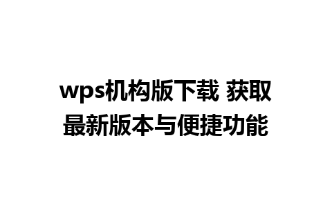 wps机构版下载 获取最新版本与便捷功能