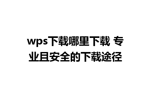 wps下载哪里下载 专业且安全的下载途径